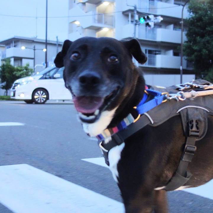 A7b4e464 3ad2 4d23 bb9c 28d951b39027 1657710371297