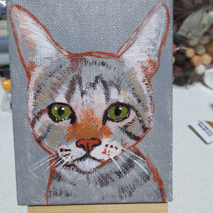 A7b52588 eb4e 4c1f b779 3432f11be56e 1549862921733