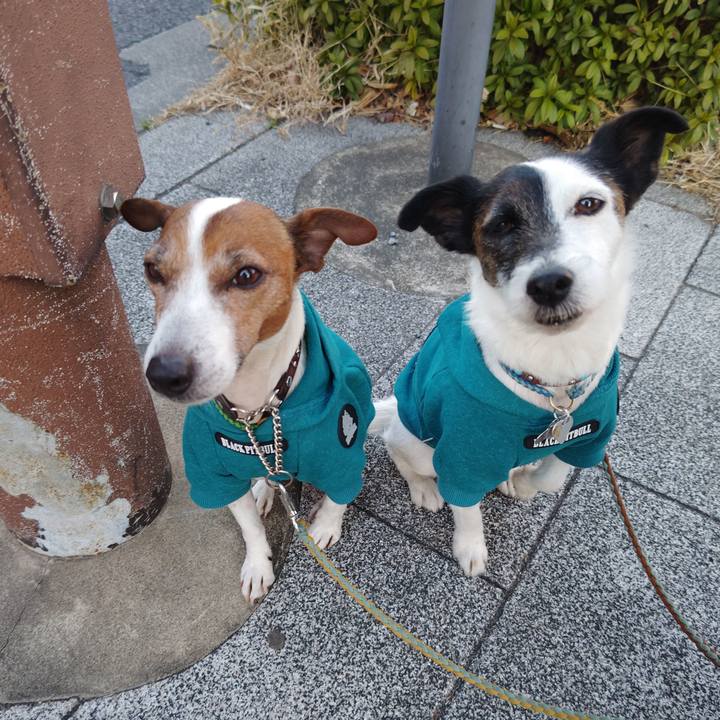 A7b53ed4 ab0f 4a2d acef f57493b74253 1740520351523