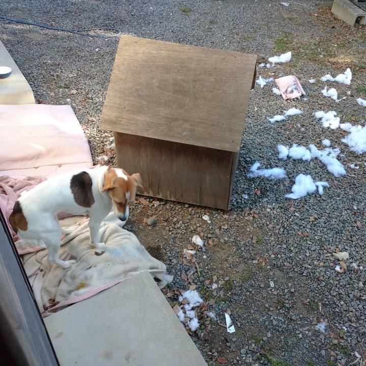 A7b54d5e a515 445e 9c7c c158c9bd1a26 1577582368361