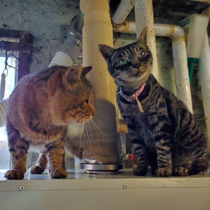 A7b55543 eed0 49c1 9878 322614bd15d8 1700057004496