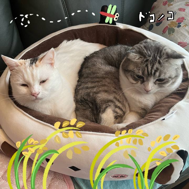 A7b560e7 978e 4c47 a122 35fda14b4bd3 1761701097718