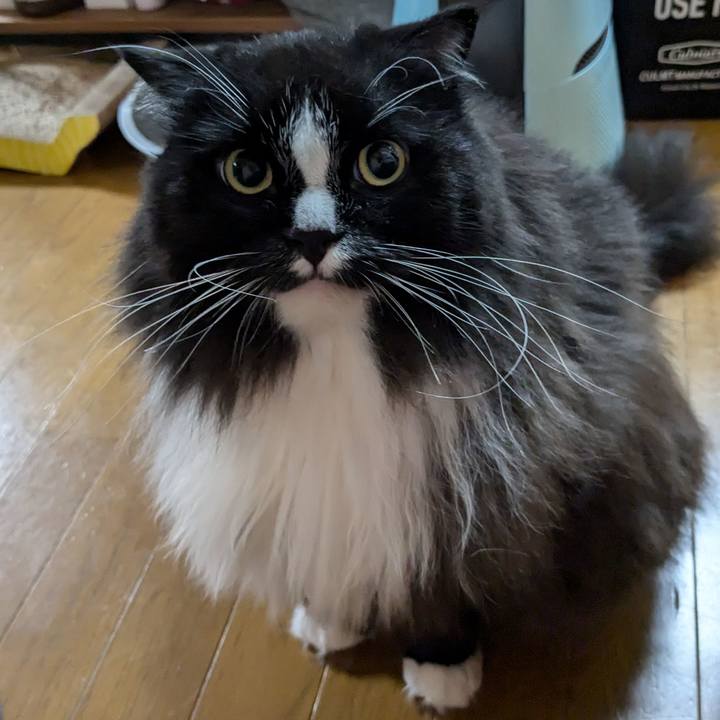 A7b5b7e6 3241 41da 89ff a302f6c34d29 1727731136108