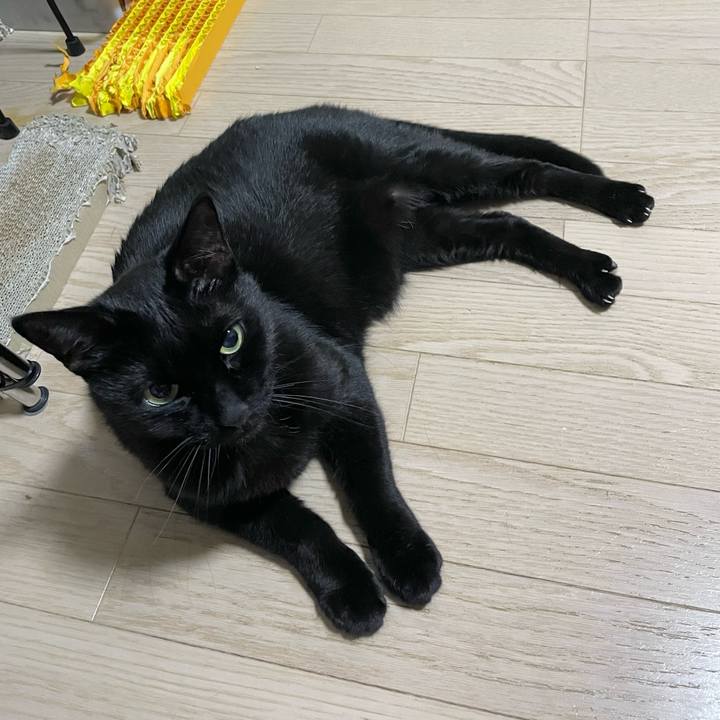 A7b618b3 60f6 4cc4 8830 1158f36fd8c8 1734007479138