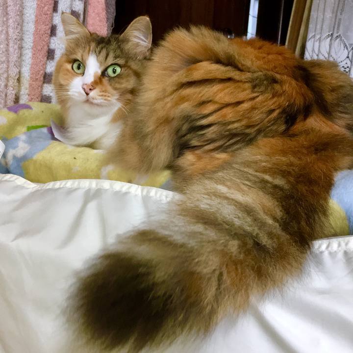 A7b63f6d 42d9 446a 97d3 b68a7d8efb4d 1568263277589