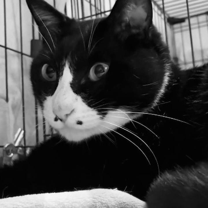 A7b64c11 52b0 42f0 9281 5ecf3b887d4c 1746785822633