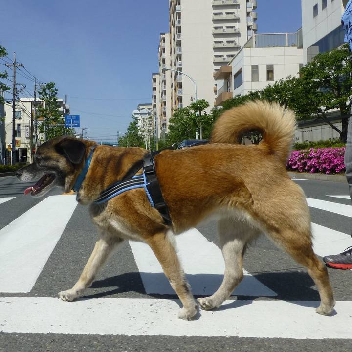 A7b65dd0 0f3a 4c49 894a 7cb0a31717ef 1579827490322