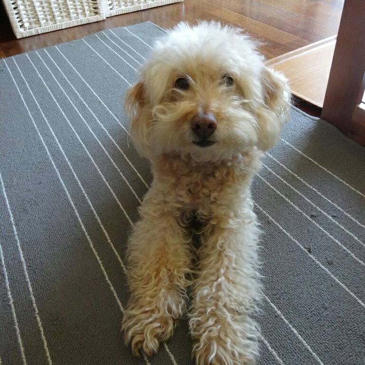 A7b67a2e c9ea 475e 9805 6fb5a3af5d38 1585404337072