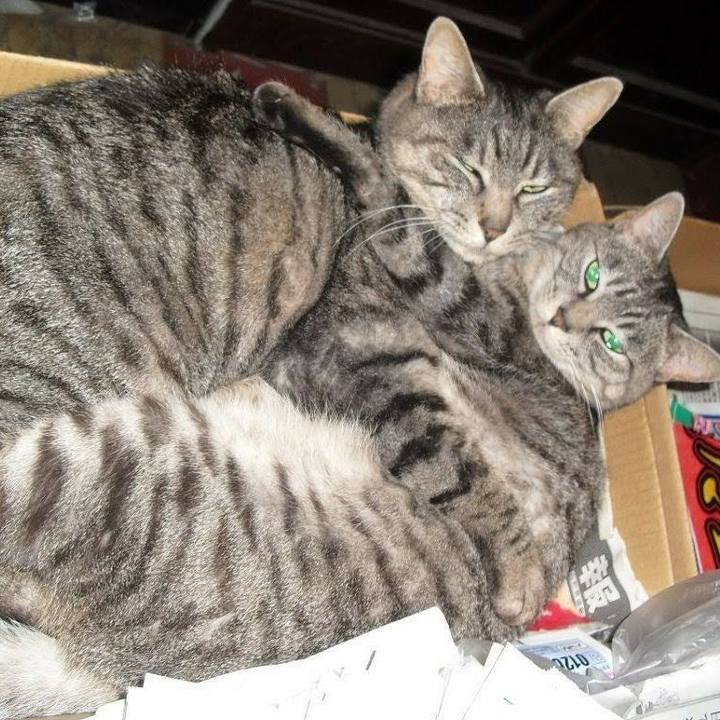 A7b6896c 23a5 4ce4 a011 b94cbcb823fd 1601840716485