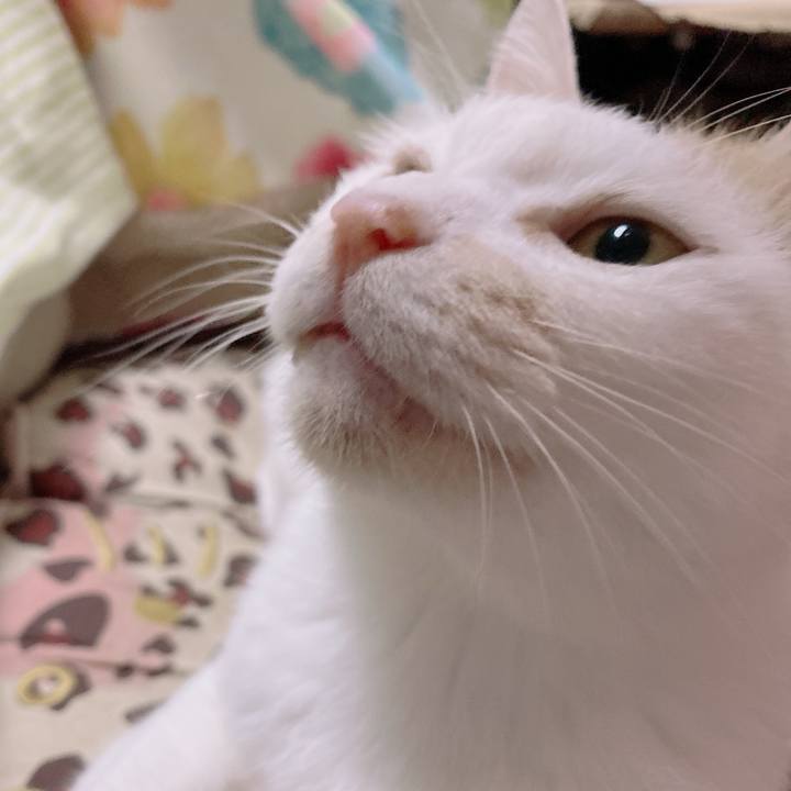 A7b69b1d 850d 4be6 9220 3e2216fdf64f 1704029585570