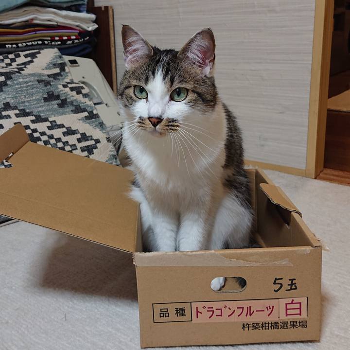 A7b6c59f c0fa 45e6 9210 eab2ce0aea5b 1655942760595