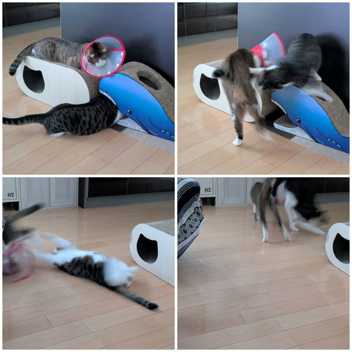 A7b6e6d6 79f6 4f0d bbe8 79591571b34a 1768298797848