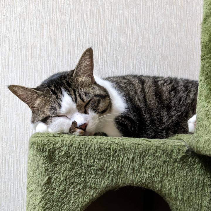 A7b6edce 8849 4d3e 97e6 8fbfac2f8015 1692751993181