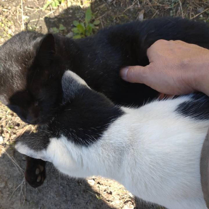 A7b6fd15 c8c1 4aab ab75 de66dae8e15c 1731029303415