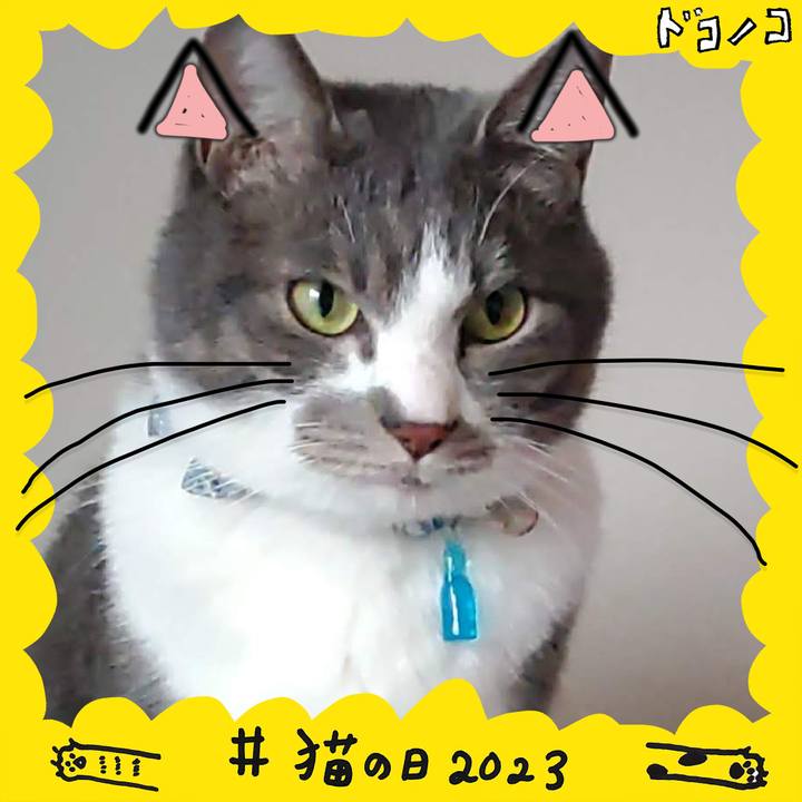 A7b7331e b791 4526 9544 11609faab181 1677014893215