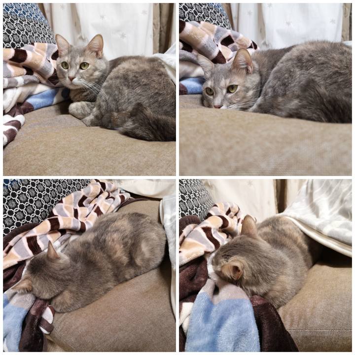 A7b74490 604c 4414 8b8b 063387e0783e 1577113838714