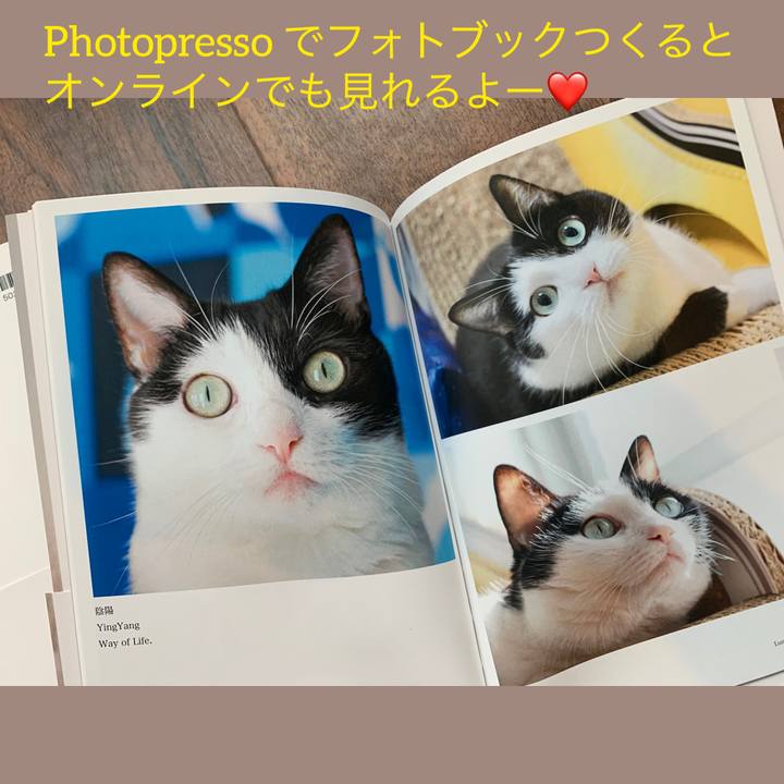 A7b75850 eb03 4fe5 8a92 6199f84d25c0 1571300411707