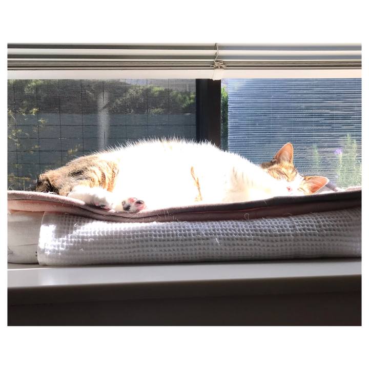 A7b7729c 920d 4fe9 b6b6 c791464e1d56 1649225589625