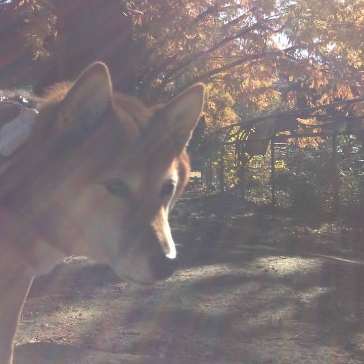 A7b79982 6439 4ecd bdbd 886c682535ff 1511506408586