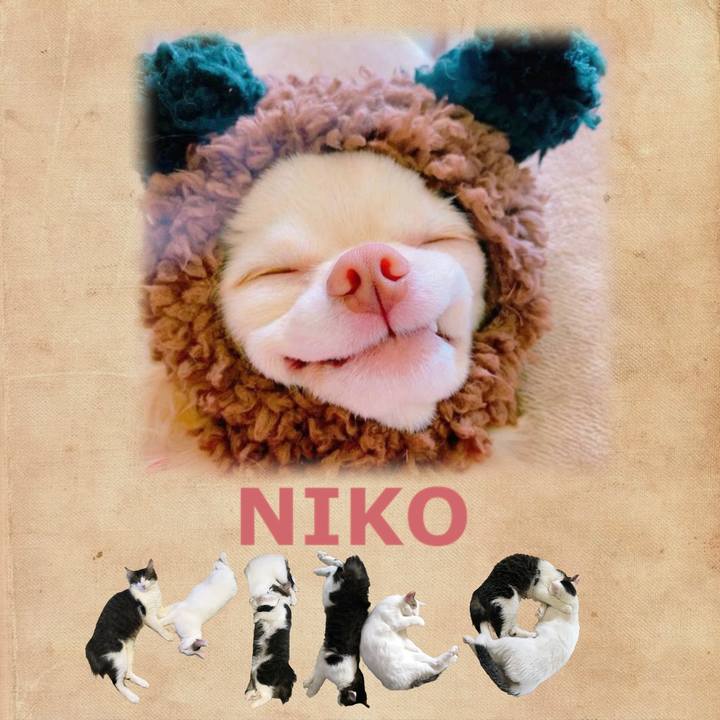 A7b7a886 103c 46f7 b91d 2f0072237189 1667970842139