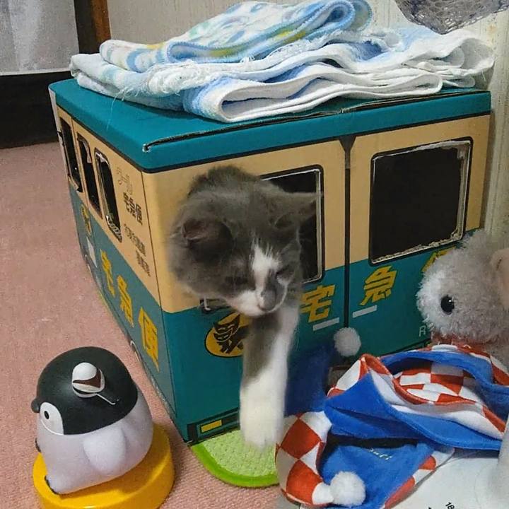 A7b7b399 b350 4f78 9561 5d4d8c1fe130 1570488001122