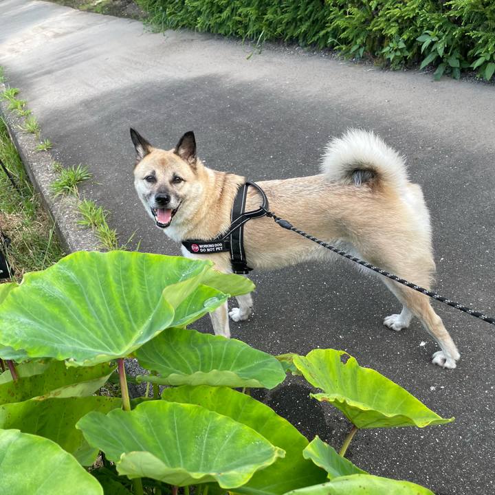 A7b80483 50ac 44f0 8c3e e3fbaa962b96 1722515540983