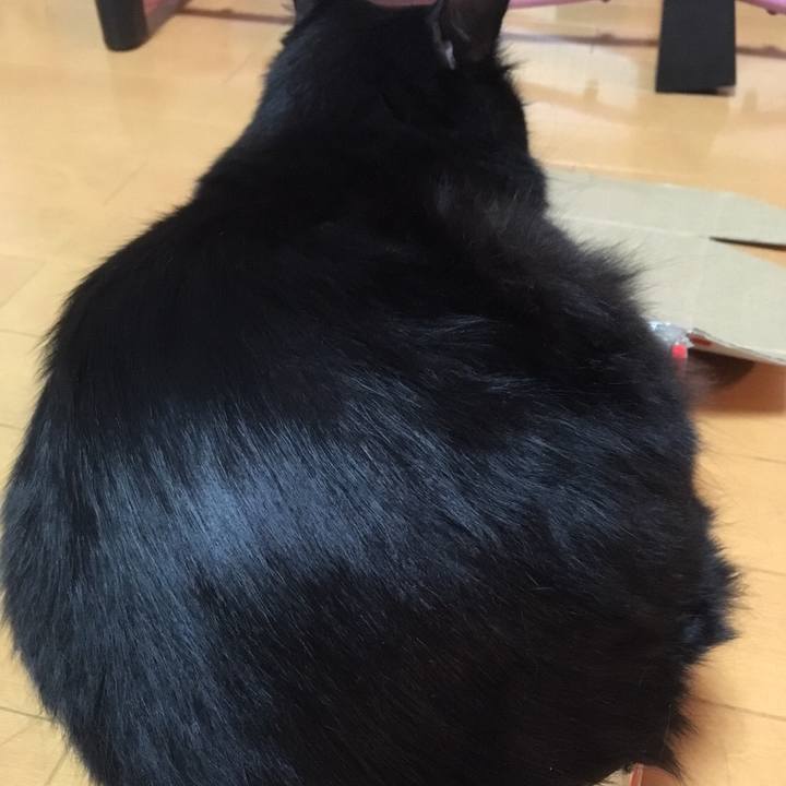 A7b85505 62d9 4cc9 beb1 ea1e723fe4a4 1507893266382