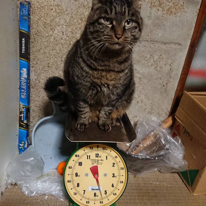 A7b86397 a276 4b2f 8509 2d6968bee67b 1640426995343