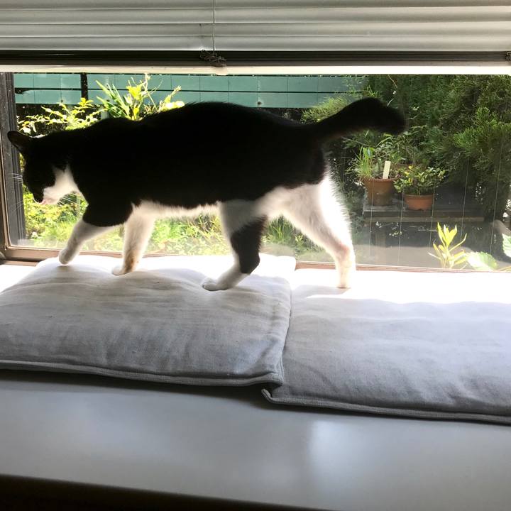 A7b8a867 389a 43da 9425 9149a055531e 1533194116458