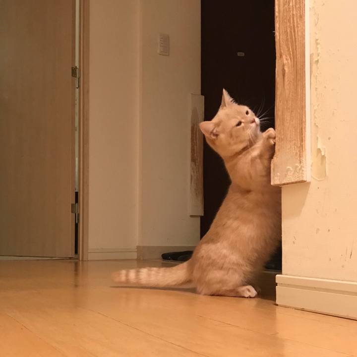 A7b8b542 c82e 4cf6 a1ca 28b8855e25d8 1519555665192