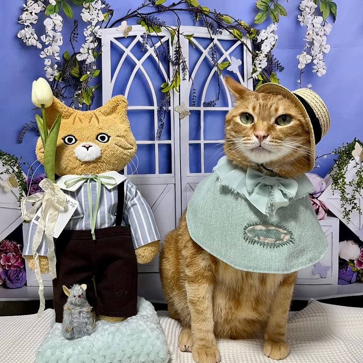 A7b8c28d 1648 44ae ad9c 0f8014f8bedb 1687864618556