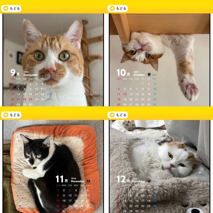 A7b900d5 37d1 4461 a3e8 95ca073f0fa5 1763934401073