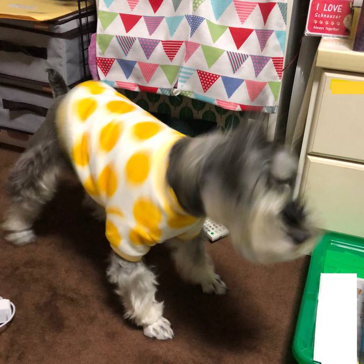 A7b91603 8415 4060 8c9e f3a3c184f934 1513478165808