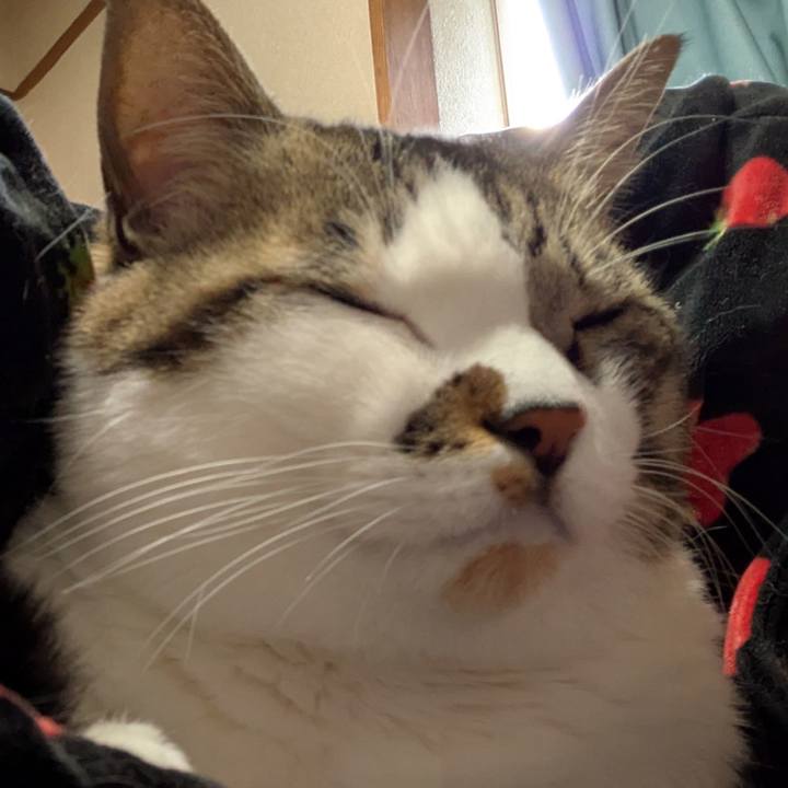 A7b916e9 f291 4495 9596 366442b7fc68 1770523794723