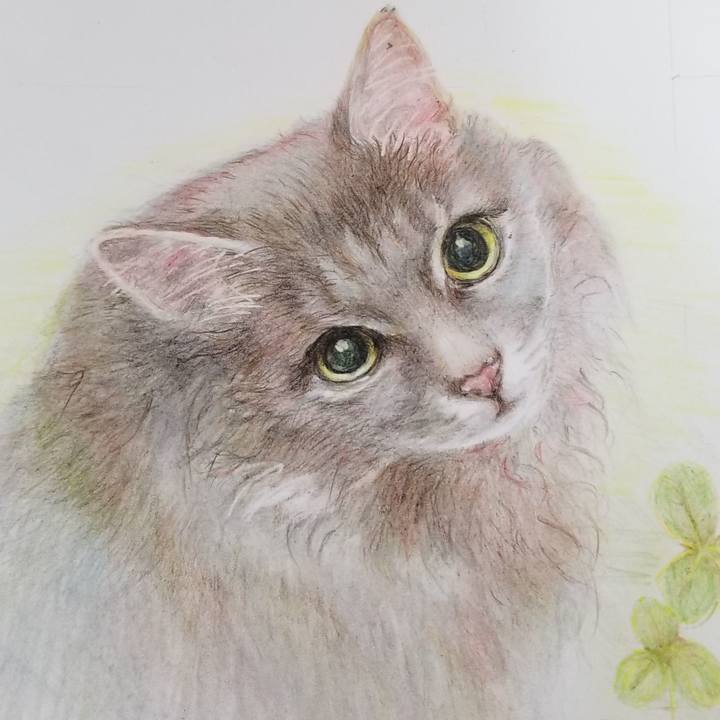 A7b92e06 486b 4ffc 88c2 01cb07cf2b96 1598000771631