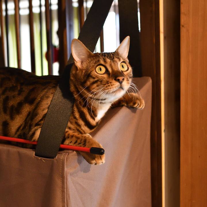 A7b95275 34cb 45cb 80cf 1dc319e0174a 1510573296621