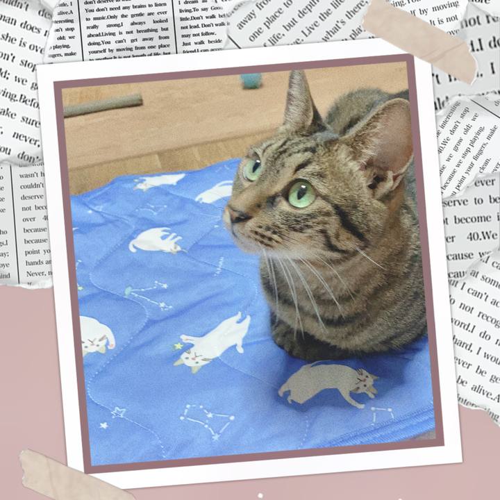 A7b97cd8 ab33 4f4a 82d6 c03a7a08eaa7 1596884209023