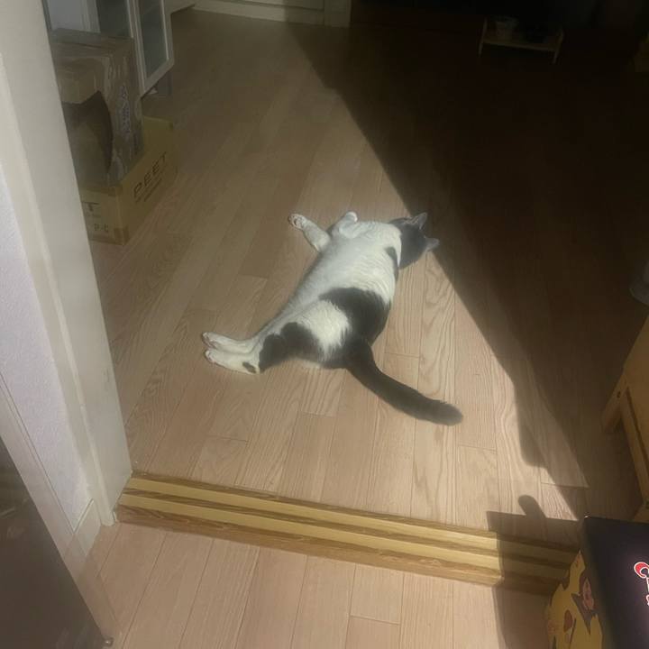 A7b99d4f ead7 4ee7 907f 6aee9357ee57 1745074875427