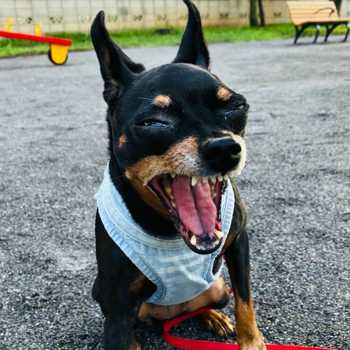 A7b99dcf 2cf4 4afe 92da 00d4d35ed9ee 1749681489669