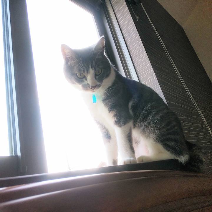 A7b9b450 c293 4a35 ba73 e90a7ad89c00 1588630948917