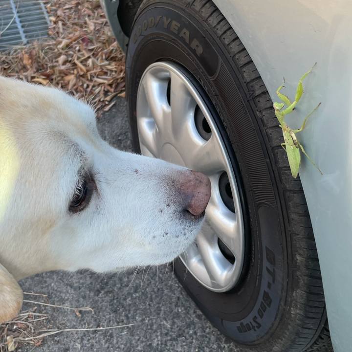 A7b9bb6f f086 4e89 9f30 4a550b5190b5 1605007261217