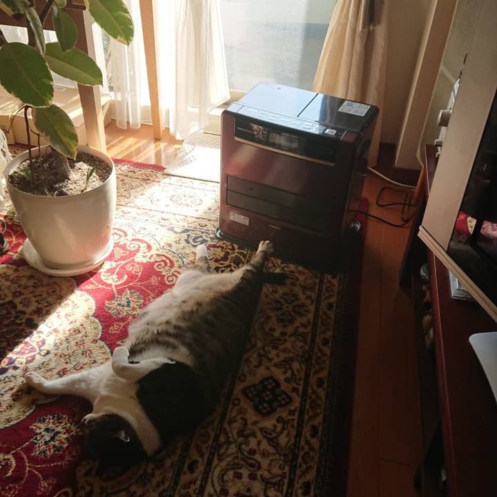 A7b9ed26 7f2f 45a9 b493 4b52376a1362 1552348688151