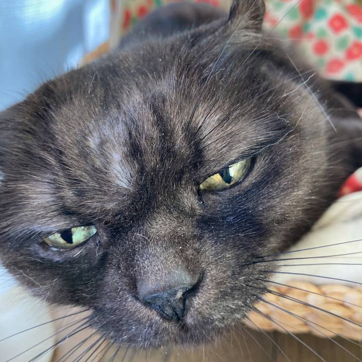 A7ba3cdb 8b89 4145 9036 2f6c4b5063d3 1609506727630