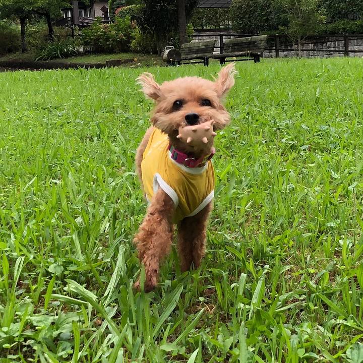 A7ba474e db1a 45db a434 734e6ff6ba4c 1567502733106