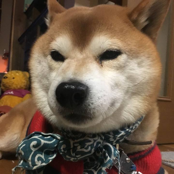 A7ba5e9a ee37 4db2 8932 c3ea2a2cc9ca 1517477796461