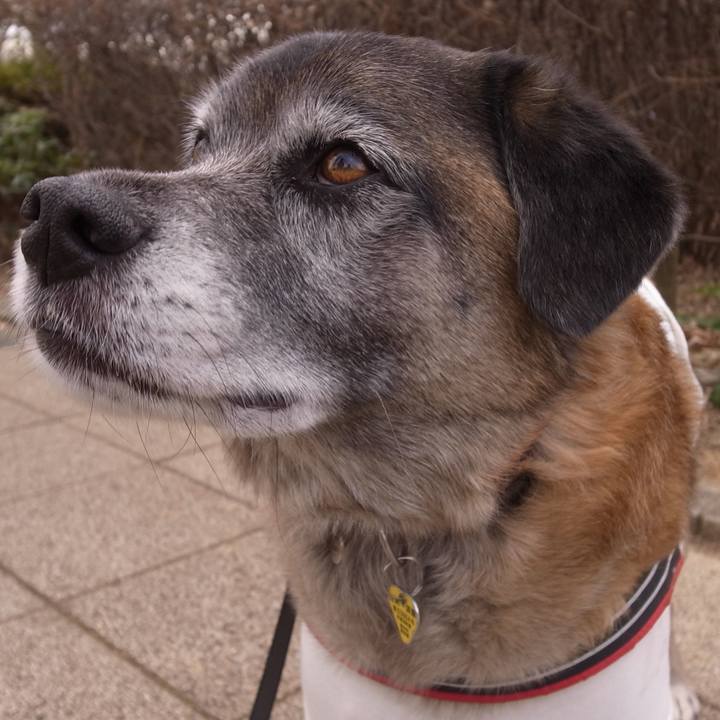 A7ba81d0 f7d0 4a94 bdda 802040a64523 1596450294780