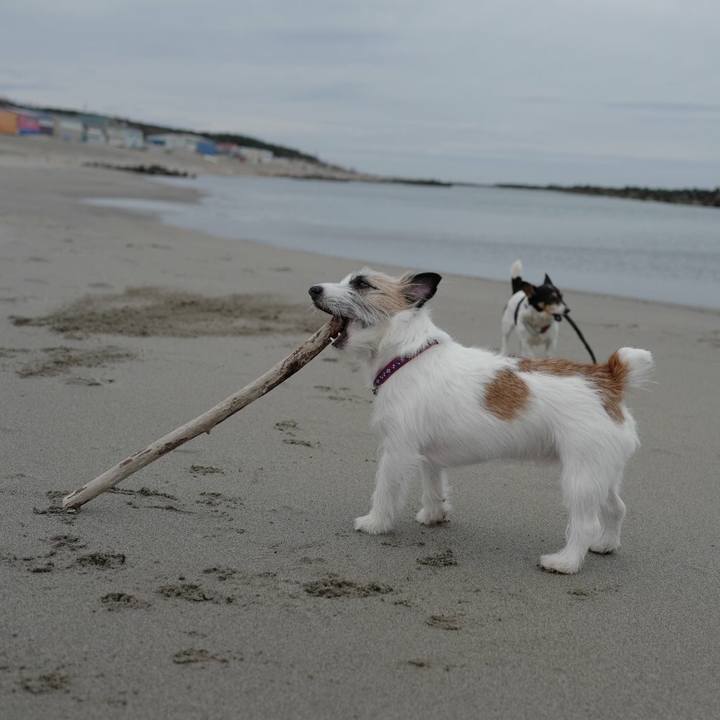 A7ba8d34 1c65 4449 8685 de625bead00e 1520490126757