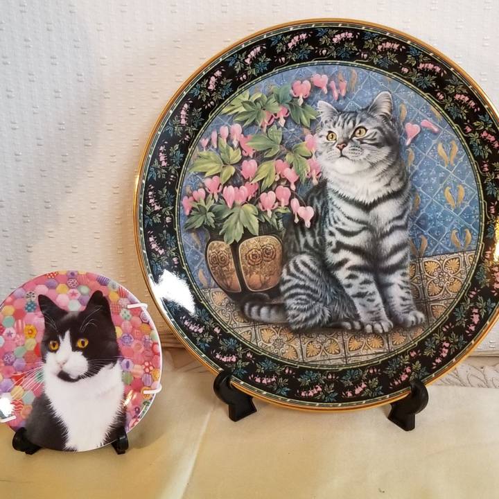 A7baaba2 9e1b 47d9 b433 30315fee0a0b 1577322259646