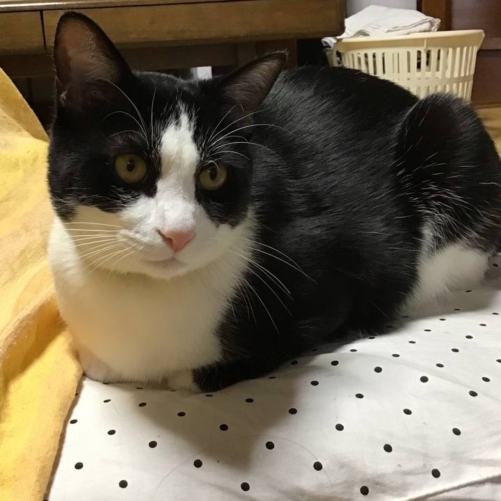 A7bad1d6 6420 4c37 bb72 7f6704426324 1652002362220