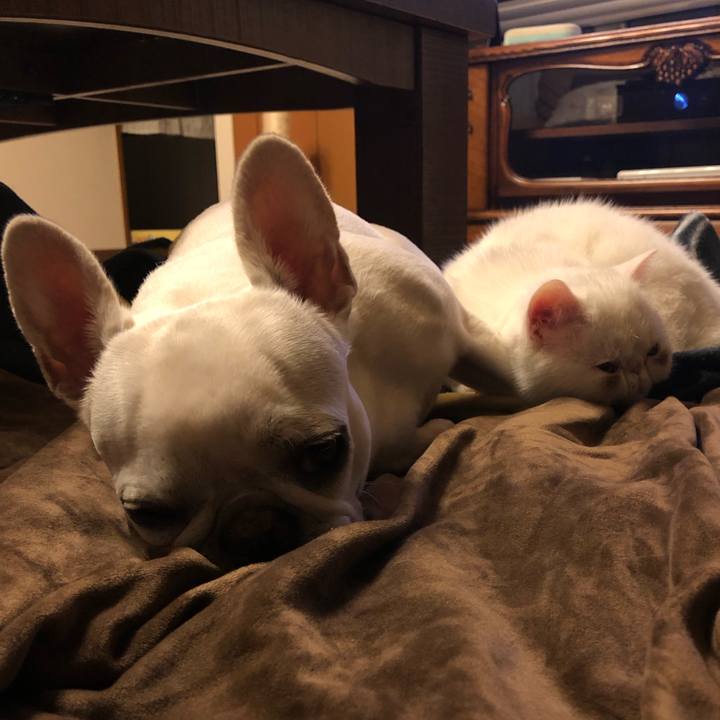 A7baed31 5652 43d2 9a26 1609d24dfc79 1554127372885